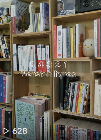 Miniature de vidéo TikTok du compte littéraire @dihlemasbooks