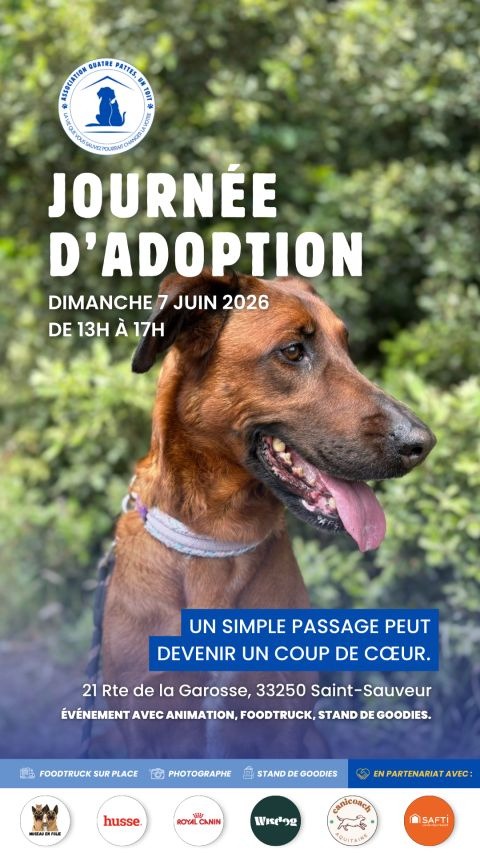 Visuel d’événement réalisé pour l’association Quatre Pattes, Un Toit