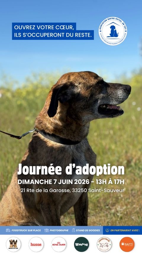 Visuel d’événement réalisé pour l’association Quatre Pattes, Un Toit