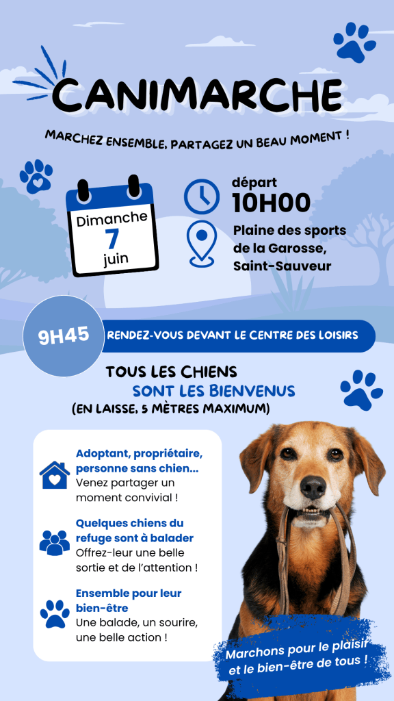 Visuel réseaux sociaux réalisé pour l’association Quatre Pattes, Un Toit
